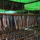 다원해 | 포항 전통방식 대과메기 덕장 직송 원해온바다 과메기 추천