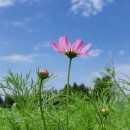 청초농장 이미지