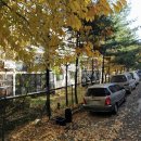 안곡로 22 이미지