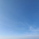 자연으로(의) 회귀 이미지