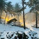 별들의 기침 이미지