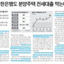 강동-천호-1214 이미지