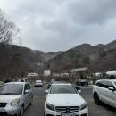 더숲(the 숲) | 전남 장성 애견 동반 가능 글램핑장 더숲 캠핑 글램핑 내돈내산 후기