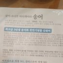 청호골송어 티스토리