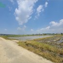 해창1리마을회관 이미지