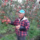 대흥농장 이미지