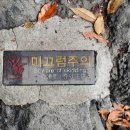 고반식당군자역점 이미지