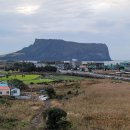 골든튤립성산호텔 이미지