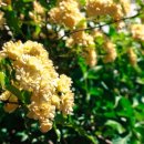 중곡역-25 이미지