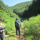 달구지주유소 이미지