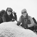 화이트사 이미지