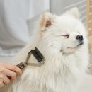 몽몽이털 쇼핑하우