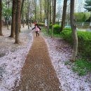 영등근린공원 이미지