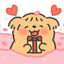 심리상담 세움 이미지