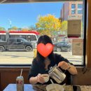 하이타운약국 | [캐나다 1탄] 2주간의 대장정 시작, 토론토 (feat. 나이아가라 하이!)