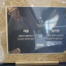커피애플블러썸