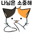 폼나"개" 이미지