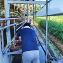 장수한우지방공사 이미지