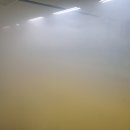 용인대세미태권도장