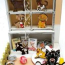 애견아트 이미지