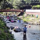 솜반내(솜반천) 이미지