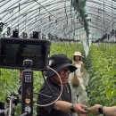 김기두농장 이미지