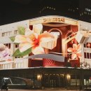 신세계청과 이미지