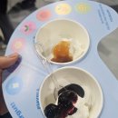 델리스윗홈플러스서면점 | [2025] 컬리푸드페스타 가기전에 필독하기~! 후기! 추천부스