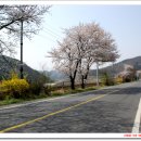 만불주유소 이미지