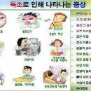 정왕라성약국 네이버블로그
