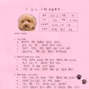 1263 | [[#1263] 하나(양측 슬개골탈구 G3)의 수술후기