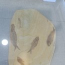 거제해양레포츠센터 이미지