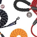 프리독스 이미지