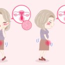 강남라이프산부인과의원 이미지