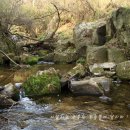 회암소류지 이미지