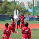 국가대표태권스쿨 이미지