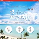 #05. 8월 주간 앨리스 픽 뉴스레터 - 추천 랜선투어, 이번에는 대사관 랜선투어다!
