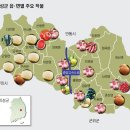 귀농·귀촌 여기 어때? 경북 의성 - 농민신문 이미지