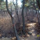 대부해솔길 2코스 이미지