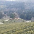 뜰안에 민박 이미지