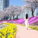 양지천2 이미지