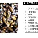자연산민물건강원
