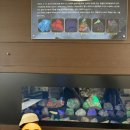 6살 친구들과 함께 다녀온 '덕소 자연사박물관'