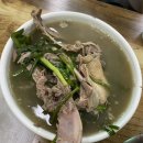 보양식으로 원기충전! 진천맛집 송원능이백숙🍗