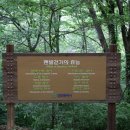 황토길 - 광산구 | 황토길