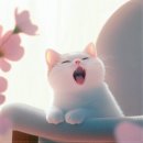 금오미용실
