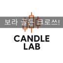 보라(Bora) 티스토리