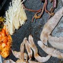 대패한상 이미지