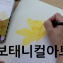 [성인] 색연필로 그리는 꽃 그림 보태니컬 아트 네이버블로그