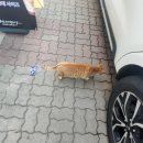 사랑하긴 했었나요 스쳐가는 3월이었나요